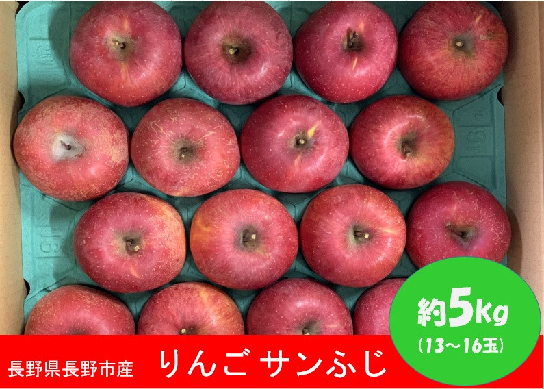 
J0938 長野市産 サンふじ 約5kg (13～16玉)【2023年12月上旬頃発送予定】OKABE fruits
