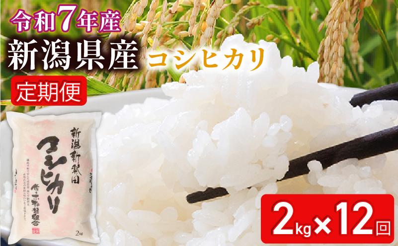 
            【定期便】 令和7年産 新潟県新発田産 特別栽培米コシヒカリ 2㎏ × 12か月 選べる お届け開始時期 米 お米 ごはん 白米 コシヒカリ 佐々木耕起組合 プレゼント ギフト 贈答 定期便 特別栽培米  佐々木耕起 佐々木こうき 新潟県 新潟産 新発田産 D20_002P
          
