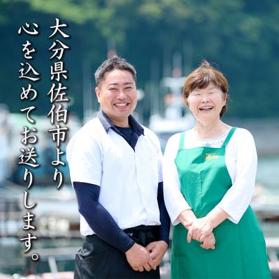 ふるさと納税 佐伯市 ごまだし 鯛みそ レシピ本 セット (合計550g) |  | 03