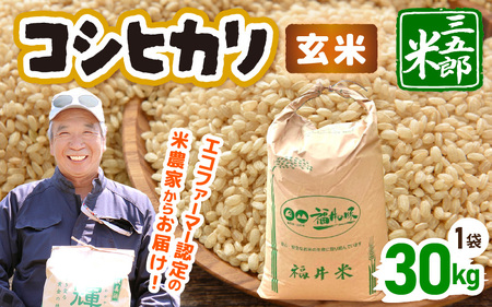 【先行予約】米 令和7年産 コシヒカリ 30kg（玄米）【2025年9月中旬以降順次発送予定】 [m76-e001]