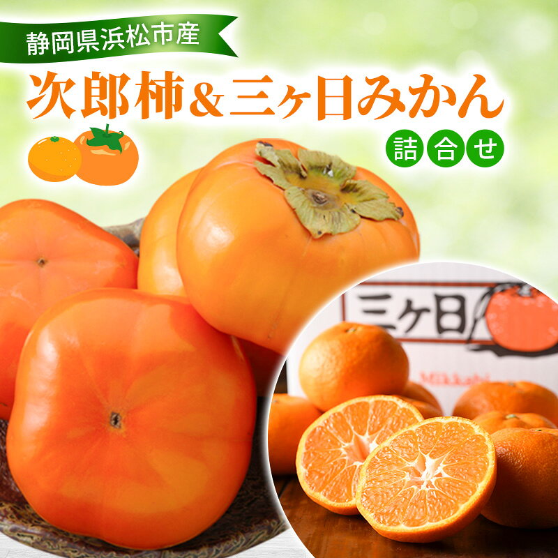 【ふるさと納税】【2026年11月発送】 次郎柿＆三ヶ日みかん詰合せ 次郎柿9～12個 約2.5Kg 三ケ日みかん 約3Kg M～L 柿 かき みかん ミカン 蜜柑 セット商品 詰合せ フルーツセット フルーツ 果物 くだもの 静岡県 浜松市　お届け：2026年11月11日～11月30日まで