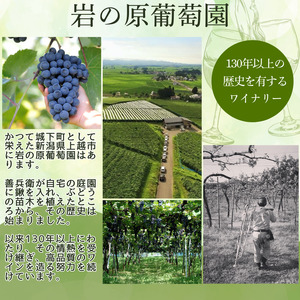 ワイン フェミナリーズ世界ワインコンクール2024 金賞 岩の原ワイン 善 白 1本 720ml 最短3日で発送