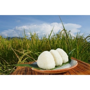 【令和7年産】＜定期便全12回＞ 新米 真庭市産 ひとめぼれ 白米 １０kg(5kg×2袋)×１２回 岡山県 竹中商店 先行予約 【takenaka040-01-tkb12】