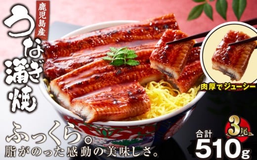 2443 鹿児島産うなぎ170g×3尾 合計510g