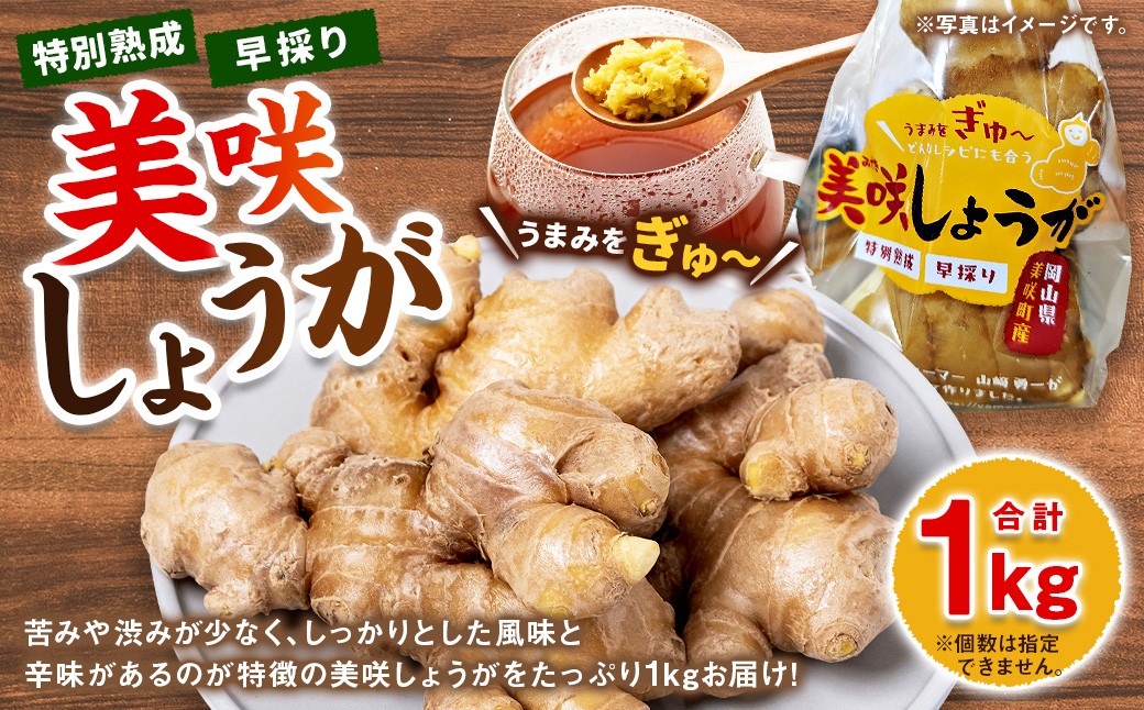 
            美咲しょうが 1kg ／ 生姜 しょうが ジンジャー
          