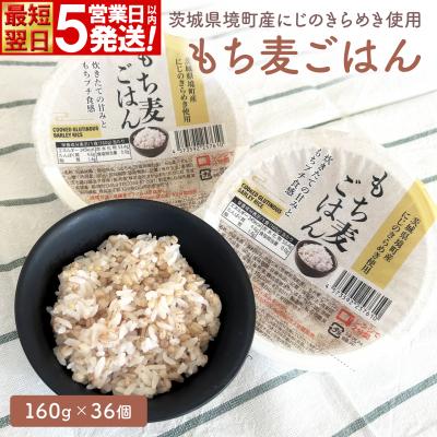 ふるさと納税 境町 【最短翌日発送】茨城県境町産 にじのきらめき 使用 もち麦ごはん 160g×36個