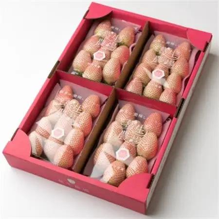 開けてビックリ!!大粒『ミルキーベリー』(300g×4パック)_果物・フルーツ いちご  イチゴ 苺_【配送不可地域：離島】【1383422】