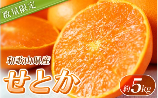 
                  【ご家庭用訳あり】紀州和歌山産 せとか 約5kg【先行予約】※2027年2月中旬頃〜3月中旬頃発送予定（お届け日指定不可） せとか みかん ミカン 柑橘 フルーツ 果物 くだもの【uot748A】
                