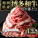 【ふるさと納税】博多和牛切り落とし(300g×4パック・計1.2kg) 牛肉 和牛 博多和牛 国産 切り落とし 小分け バラ モモ スネ＜離島配送不可＞【ksg1287】【くしだ企画】