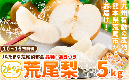 梨 梨 秀品 荒尾梨 「ことのみ」 あきづき  約4.5～5kg(10_16玉) 《9月上旬-9月中旬頃出荷》 JAたまな荒尾梨部会 梨  
