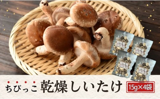 大分産椎茸（しいたけ） 津久見で育てたちびっこ椎茸 乾燥しいたけ 15g×4袋  しいたけ シイタケ 乾し椎茸 しいたけ乾燥 大分県産シイタケ 干椎茸 菌床しいたけ きのこ ギフト 国産 産地直送 津久見市