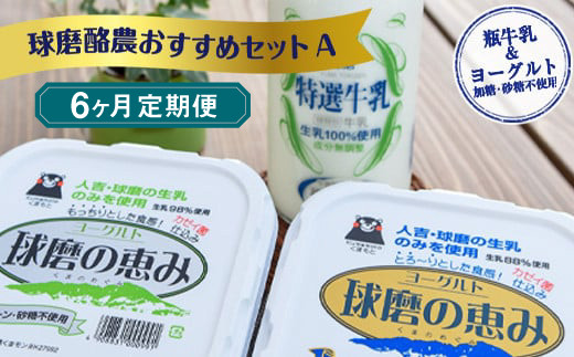 
【6ヶ月定期便】球磨酪農おすすめセットA（瓶牛乳&ヨーグルト加糖・砂糖不使用）
