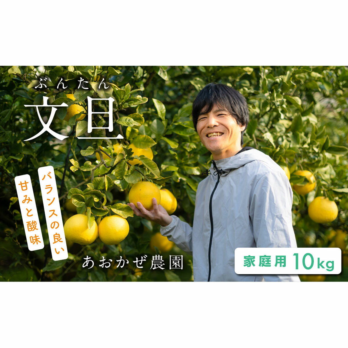 【ふるさと納税】訳あり あおかぜ農園 土佐文旦 10kg 家庭用 文旦 ぶんたん ブンタン 柑橘 果物 フルーツ 特産品 高知県産 お取り寄せ 贈答用 ギフト 冬 春 旬 産地直送 ビタミンC 自然の恵み 農家直送 国産 甘酸っぱい 人気 家庭用 規格外 宿毛市 高知県 17000円