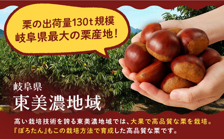 【先行予約】【2025年10月下旬より順次発送】岐阜県産栗「東美濃ぽろたん」 2kg / 栗 くり 栗きんとん / 東美濃農業協同組合 [AUDS001]
