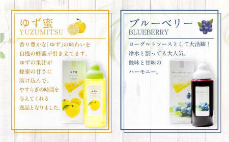 熊本 杉養蜂園 【ゆず蜜×ブルーベリー】果汁入り はちみつ 500g 2種 計1kg 食べ比べ 蜂蜜