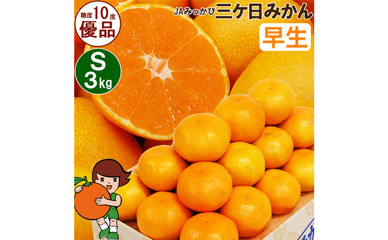 
            三ケ日みかん 早生【優品】Sサイズ3kg(36個前後) ミカン 果物 くだもの フルーツ 甘い 静岡県 浜松市 [№5360-0093]
          