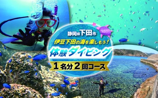 ダイビング 体験チケット 2回コース 1名 下田 体験 海 初心者 2回 コース アウトドア スポーツ アクティビティ マリンスポーツ レジャー 旅行 観光 夏休み お盆 GW 冬休み 春休み 白浜 ホテル伊豆急 内 ドラゴンレディ 静岡県 下田市 伊豆