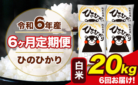 令和6年産  【6ヶ月定期便】 ひのひかり 白米 20kg 5kg×4袋 計6回お届け 熊本県産 こめ コメ 白米 精米 荒尾市 ひの 米 定期 《お申込み月の翌月から出荷開始》 美味しい米 お米 熊本県産米 くまもと米