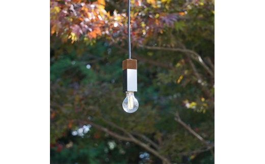CTSH LIGHT. ペンダントライト SQUARE＜Walnut×クロム加工 E17＞ 瑞浪市 / ジオニック 照明器具 ソケット 鉄 木製 シルバー [AZBQ057]