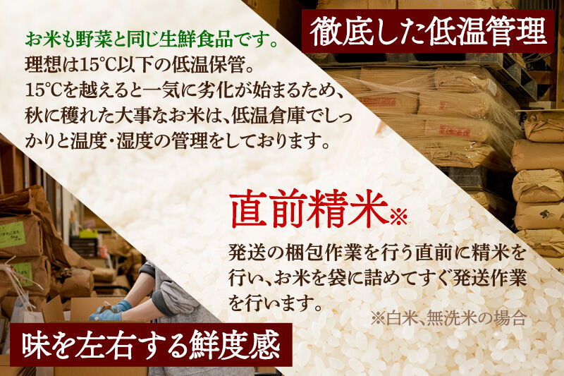 《定期便6ヶ月》令和7年産 【無洗米】通算5回特A 秋田県産ひとめぼれ 10kg(5kg×2袋)×6回 お届け周期調整 隔月に調整OK お米 米 こめ 藤岡農産 [米 無洗米 白米 特A 精米 秋田県