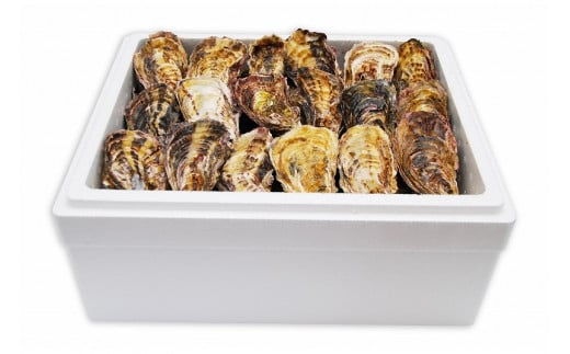 ［殻付き牡蠣］Ｌサイズ(大)50個《加熱用》【広島かき 広島牡蠣 かき 新鮮 旬 おすすめ 人気 広島県 宮島 廿日市市】