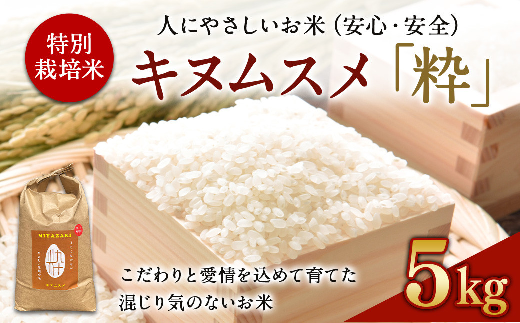 
            ＜令和6年度 特別栽培米「粋」キヌムスメ 5kg＞※入金確認後、翌月末迄に順次出荷します。 お米 米 白米 精米 宮崎県 高鍋町
          