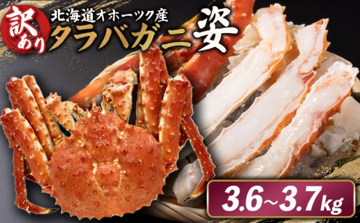 
                  《チョイス限定》北海道オホーツク産 訳アリ 冷タラバガニ姿　3.6～3.7kg | オンライン申請 ふるさと納税 北海道 雄武 北海道産タラバガニ タラバ カニ かに 蟹 冷凍 海産 海産物 ギフト 贈り物 お取り寄せ ワンストップ マイページ 雄武町【12434】
                