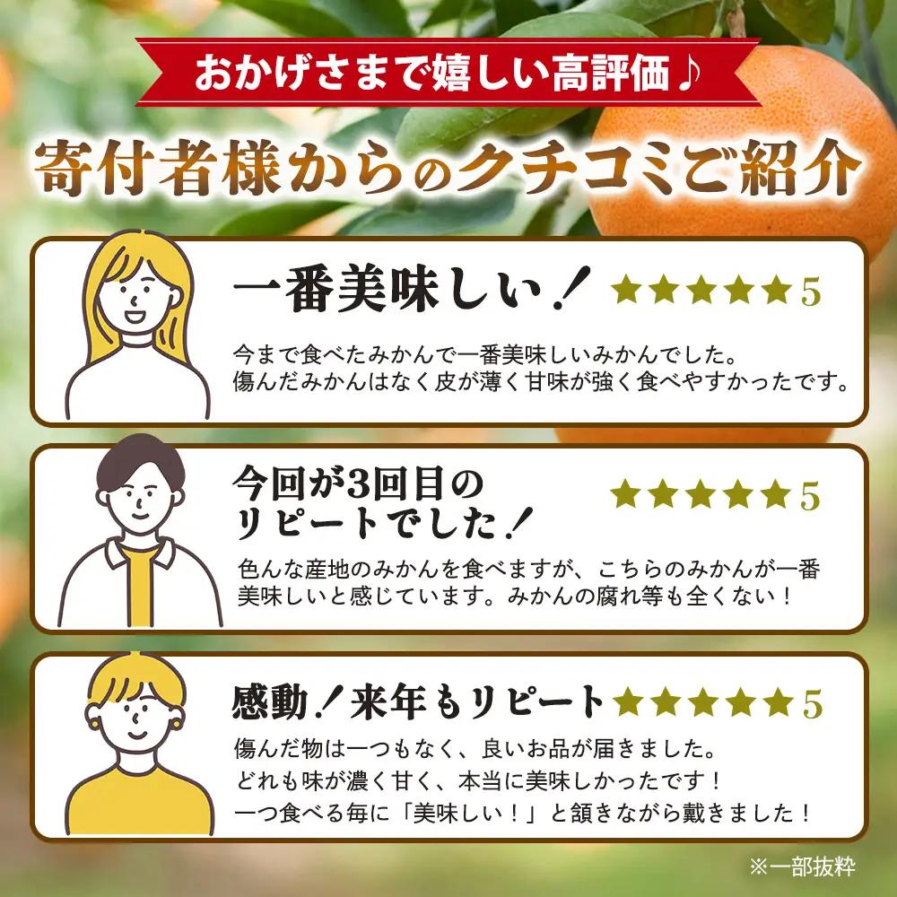 温州みかん 約8kg 佐賀県鹿島産 サイズ混合 | 《先行受付11月上旬より発送予定》みかん ミカン 甘い 小玉含む フルーツ 果物 果実 くだもの 蜜柑 柑橘 国産 冬季 大容量 家庭用 贈答 お取