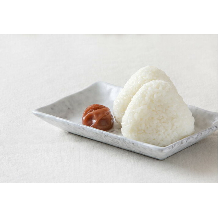 しそかつお梅干し500g 紀州南高梅うめぼし和歌山産(化粧箱入) 紀伊国屋文左衛門本舗◇ ｜梅干 厳選 最高級 かつおうめ ふるさと納税 梅干し 和歌山