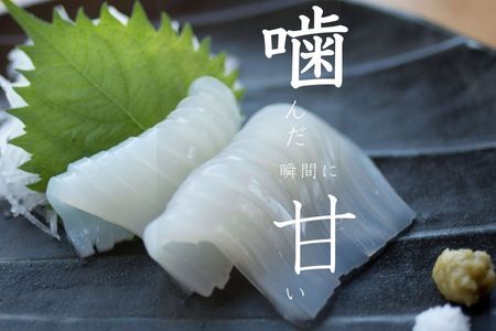 白いか丸ごと 250g×3杯セット イカ