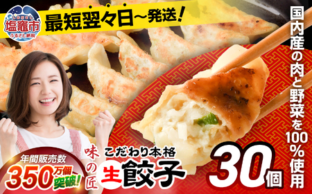 餃子 生餃子 30個(6人前)