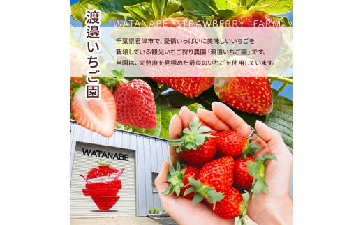 訳あり 【 選べる 容量 】 完熟・急速 冷凍いちご 2kg  | 苺 いちご イチゴ 果物 フルーツ ふるーつ 冷凍 いちご れいとう イチゴ 果実 果汁 冷凍 冷凍食品 冷凍いちご 朝採り 完熟 新鮮 スムージー  不揃い 規格外 小粒 ススメ 千葉県 君津市 きみつ