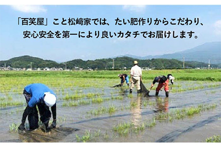 【 栽培期間中農薬不使用 】米 旋風 ヒノヒカリ 10kg（ 5kg×2袋 ）《糸島》【百笑屋】 [ABF004] 米 お米 白米 精米 ひのひかり