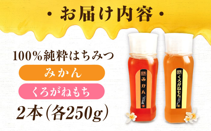 手軽に簡単チューブはちみつ（みかん・くろがねもち）各250g 計2本セット 蜂蜜 ハチミツ お取り寄せ グルメ 三次市/重森養蜂場 [APBO013]