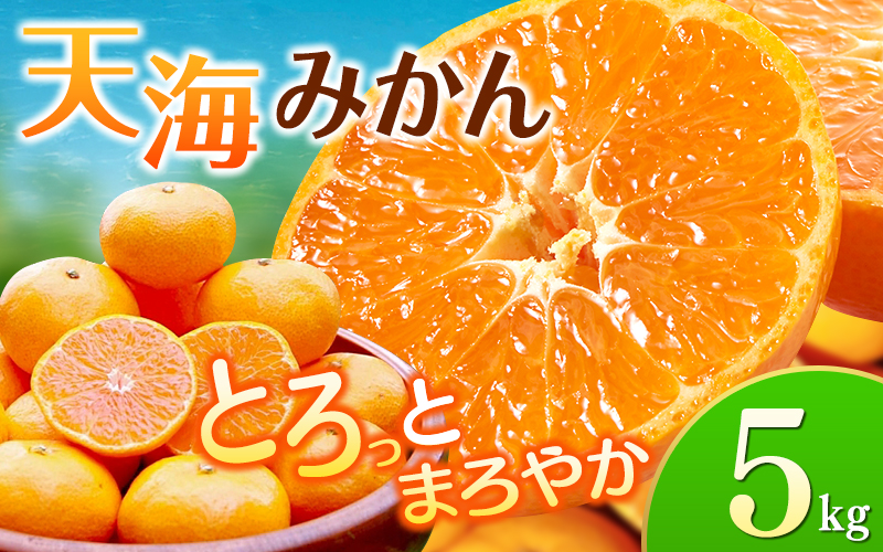 完熟早生みかん　宮川早生５kg※2025年12月から順次発送予定※ 【期間限定・12/31まで】/ 和歌山県 ミカン フルーツ 果物 柑橘 田辺市 【nak006-1】