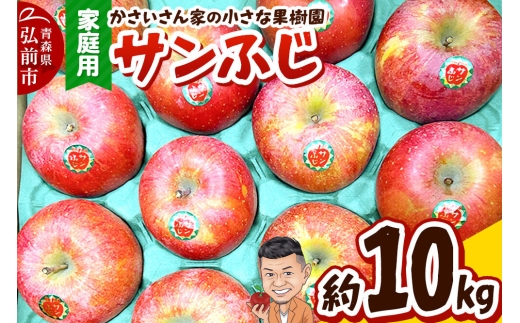 【26年12月～発送】りんご サンふじ 約10kg【家庭用】 [アップル おいしい 果実 果物 赤色 美味]