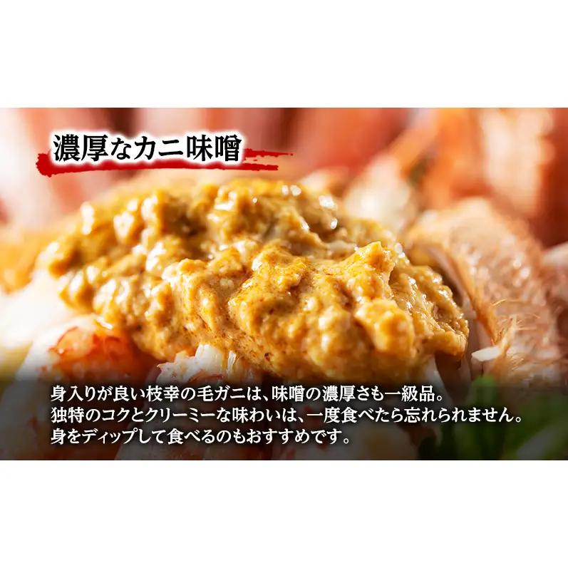 【枝幸毛ガニ】冷凍ボイル毛がに 約780g×1尾 流氷明け 身入り抜群［壽綜合商事］【 カニ 蟹 毛ガニ 毛がに 毛蟹 かにみそ 蟹味噌 ボイル 茹で 冷凍 北海道 オホーツク 枝幸 】