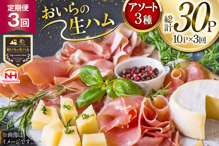 生ハム 3回 定期便 おいらの生ハム アソート セット 計30p [日本ハムマーケティング 青森県 おいらせ町 oi02ayo820004]