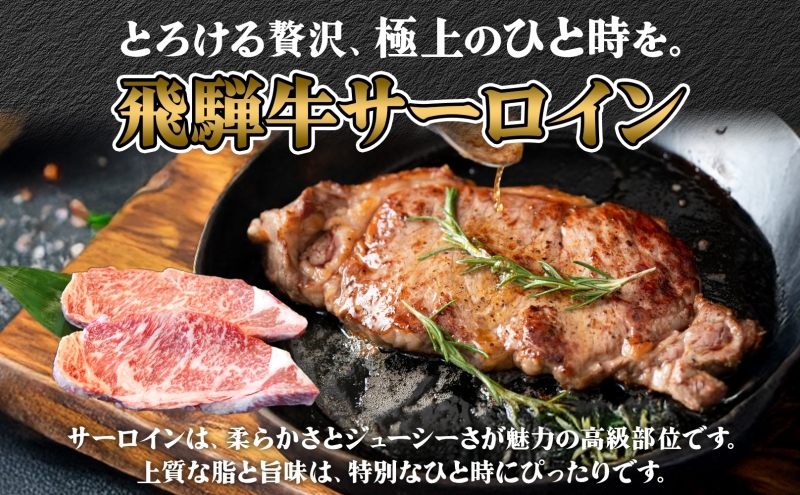 飛騨牛 ステーキ 2種 食べ比べ 計約1.6kg シャトーブリアン サーロイン 各約800g 肉 牛肉 和牛 ブランド牛 お肉 ビーフ A4ランク A5ランク 国産 お取り寄せ ご褒美 豪華 グルメ 
