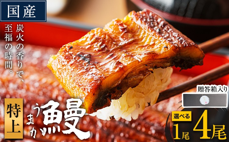 
                  うなぎ 特上サイズ 選べる尾数 1尾 2尾 3尾 4尾 贈答箱入り 国産 ランキング 獲得 鰻 真空パック おすすめ うなぎの蒲焼 《30日以内に出荷予定(土日祝除く)》 ふるさとのうぜい 超特上 簡易包装 ウナギ unagi 蒲焼 秋 冬 旬 配送時期 冷凍
                