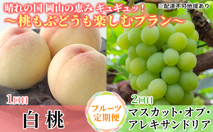 【2025年先行予約】 桃 ぶどう 晴れの国 岡山の恵みギュギュッ！ ～桃もぶどうも楽しむプラン～ ( 白桃 ・ アレキサンドリア ）《2025年6月下旬-7月下旬頃出荷》 もも モモ 葡萄 ブドウ 里庄町 数量限定