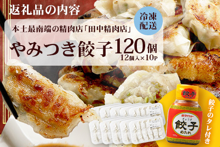 佐多の田中肉屋ニンニクたっぷりやみつき餃子 120個 (12個入り×10パック )【 餃子 手作り餃子 ぎょうざ ぎょーざ 惣菜 冷凍 餃子 国産 豚肉 タレ付き 南大隅町 田中精肉店】