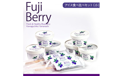Fuji Berry アイス食べ比べセット（小）  NSAA013
