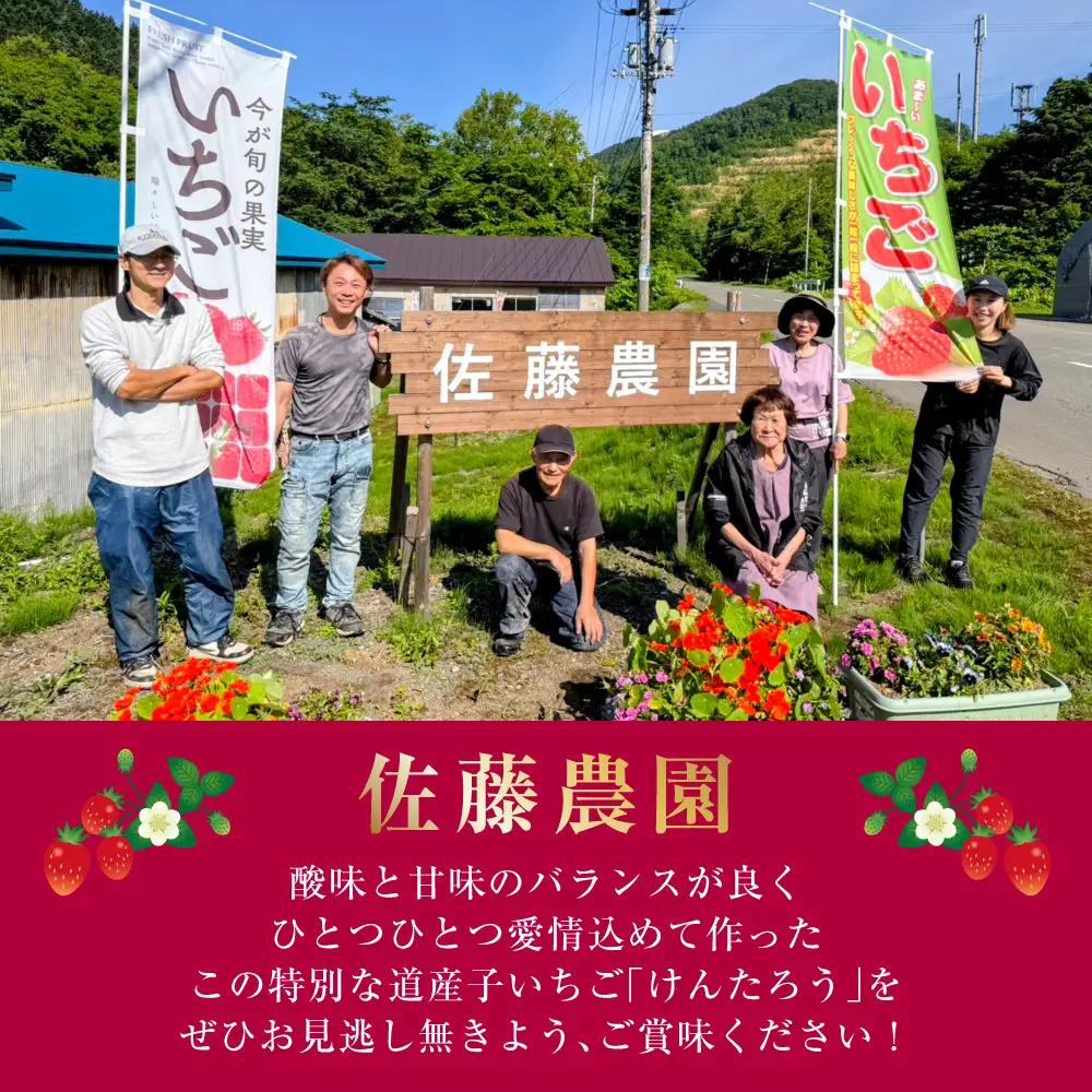 【2027年5月上旬～6月上旬発送予定】いちご「けんたろう」2トレーセット 