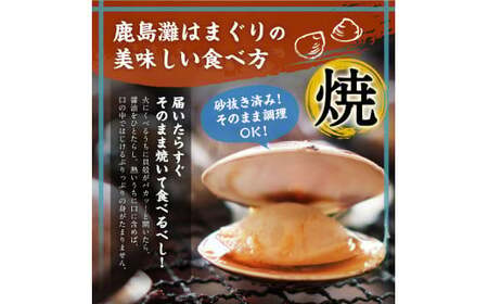 鹿島灘はまぐり 8~12粒 砂抜き はまぐり hamaguri