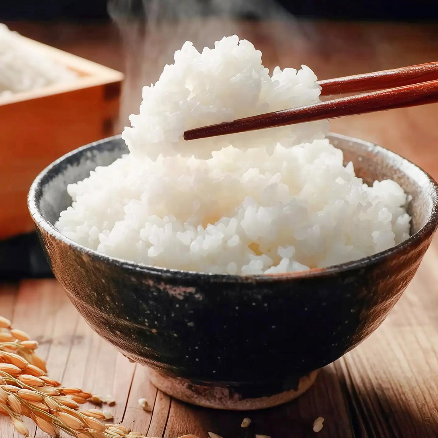 【先行受付】【全6回定期便】 にじのきらめき 白米 5kg 【2026年9月中旬以降順次発送】 糸島市産 糸島市 / 糸島の恵み コメ こめ ご飯[AGR016]