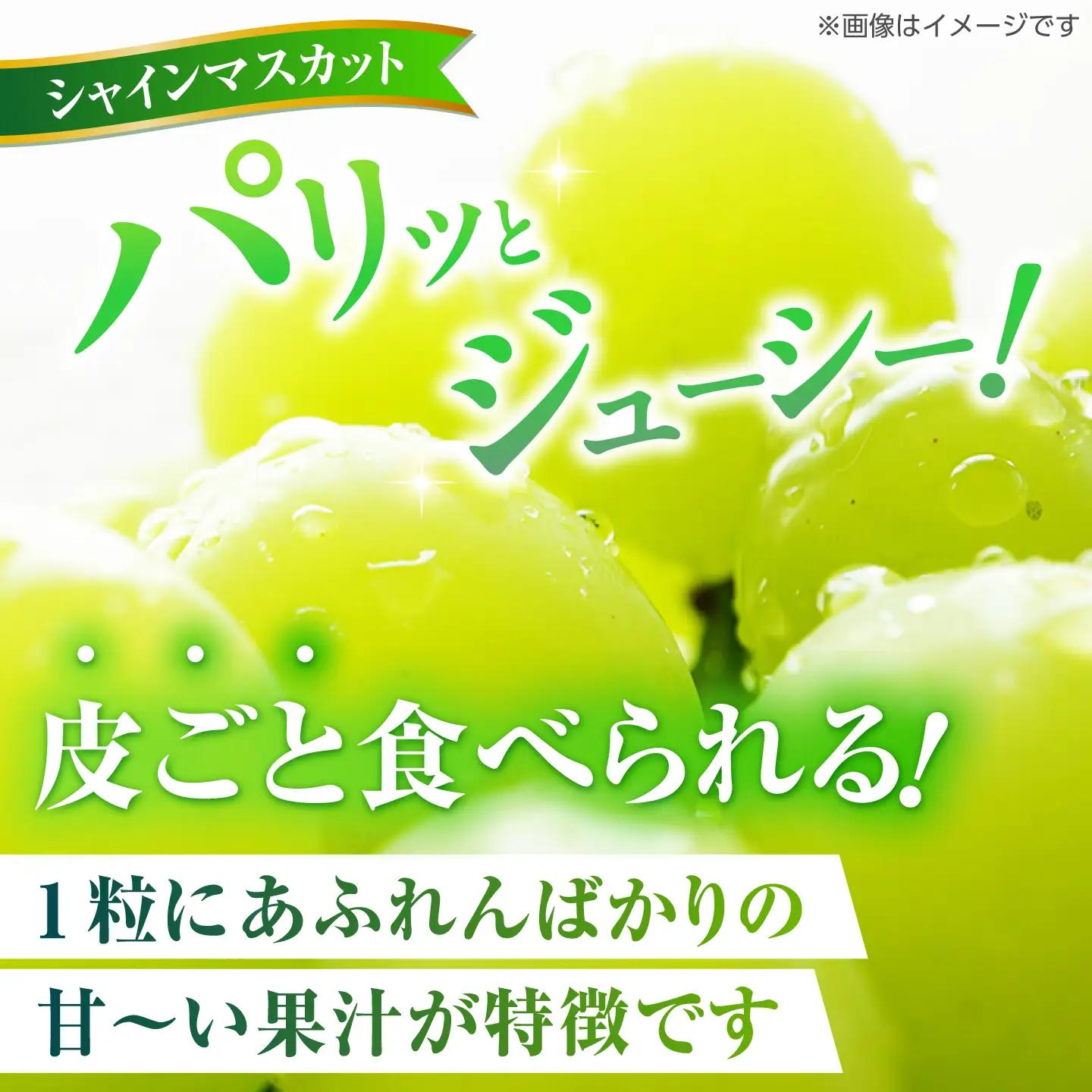 山鹿ジュエル 18粒 ぶどう クイーンニーナ シャインマスカット 高級 贈答用 贈り物 ギフト 熊本県産 熊本 山鹿【合同会社 社方園】[ZBZ053]