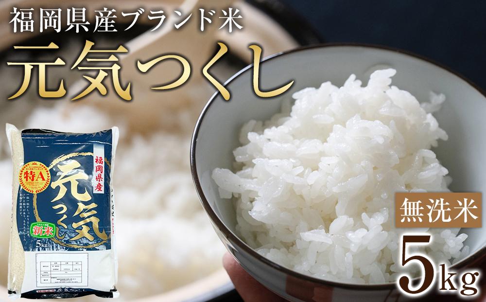 【先行予約】＜令和7年産＞福岡県産ブランド米「元気つくし」無洗米5kg ＜筑前町＞