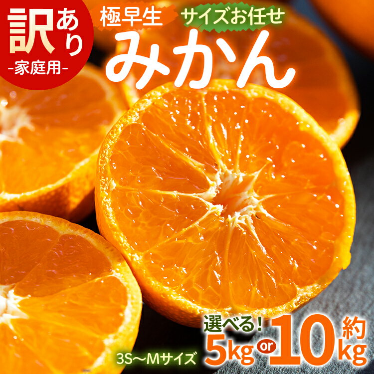 【ふるさと納税】【選べる】家庭用 訳あり 極早生みかん サイズお任せ(3S～Mサイズ)（内容量：約5kg/10kg） - 訳アリ フルーツ 果物 くだもの 果実 甘い あまい 酸味 蜜柑 ミカン 柑橘 ご自宅用 旬 季節 かなや農園 合同会社Benifare 国産 特産品 高知県 香南市【常温】