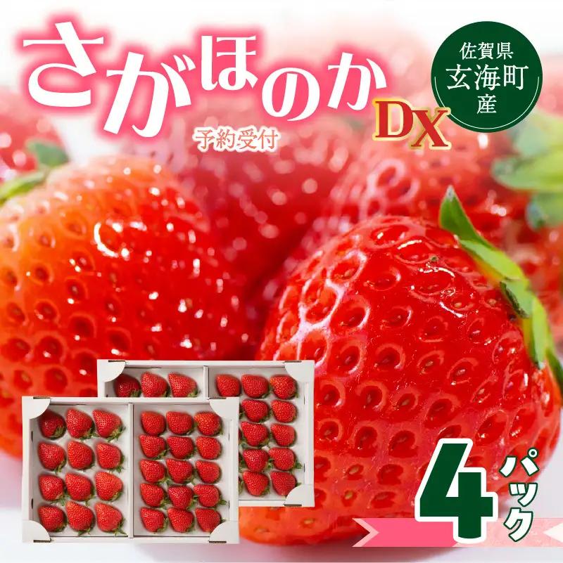 玄海町産いちご さがほのか 4パック ／ さがほのか【B159】